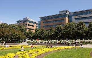 Jardins aux fleurs jaunes devant le campus de Québec de l'École nationale d'administration, l'Université TELUQ et l'Université du Québec